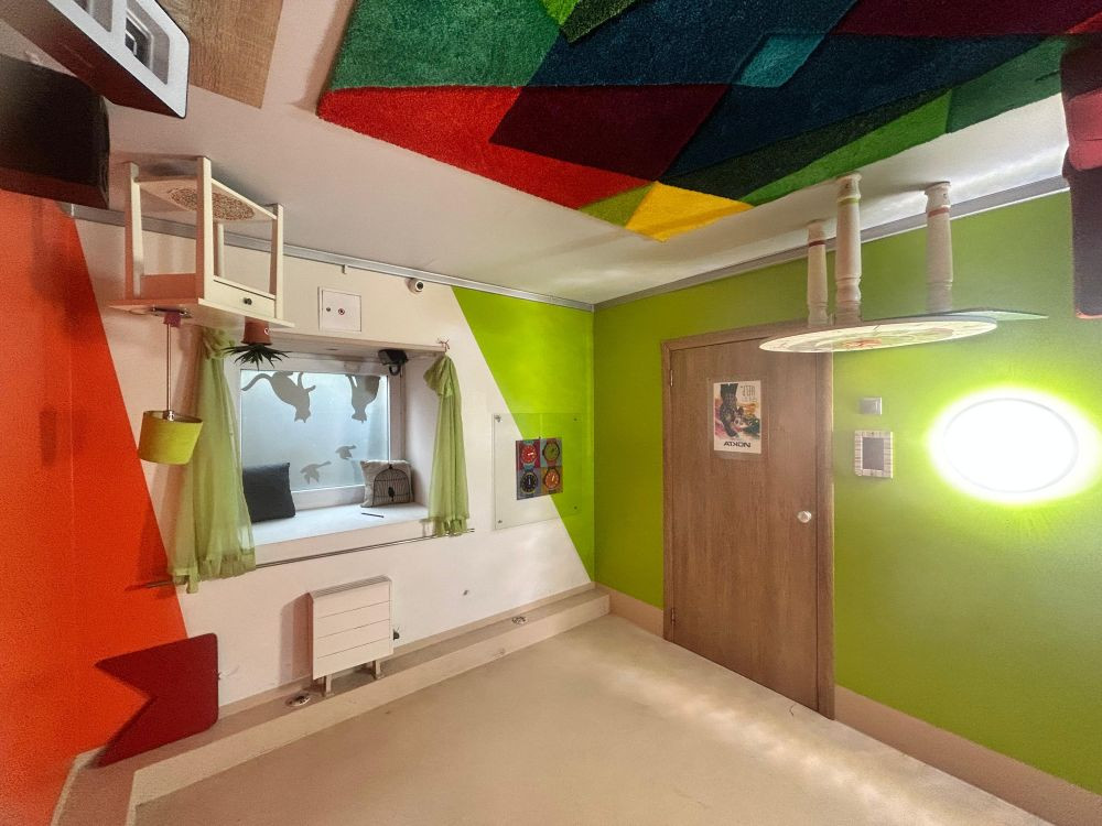 Kvest Ilūzija - foto 2/4