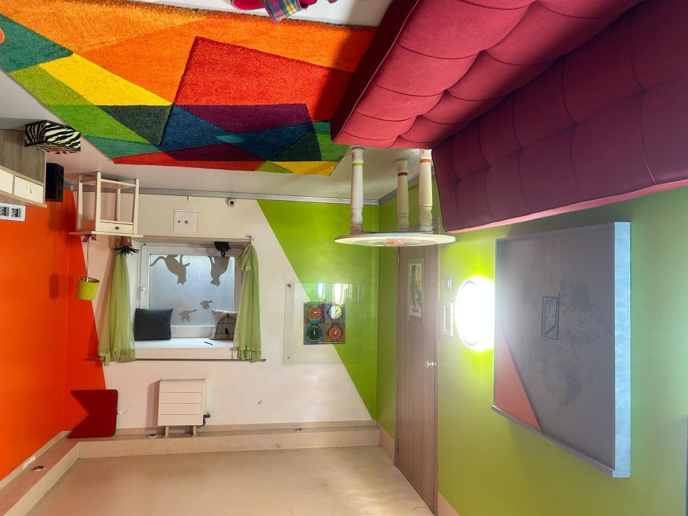 Kvest Ilūzija - foto 4/4