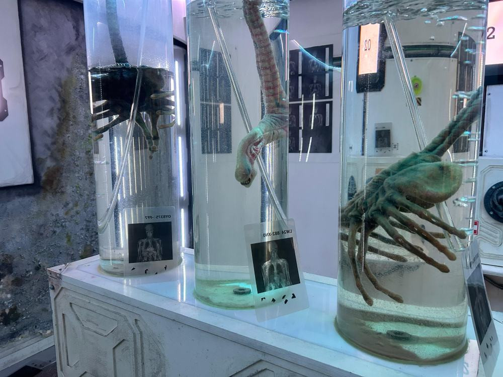 Escape room Aliens. The Lab - photo 5/5